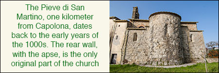 Romanesque church of San Martino
