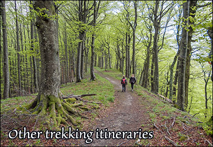 Trekking iteneraries Badia Prataglia