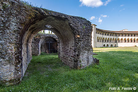 Arezzo, anfiteatro romano