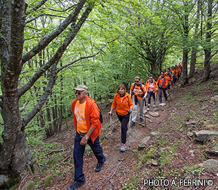 Trekking nei monti di Arezzo