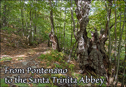 From Pontenano to Santa Trinita