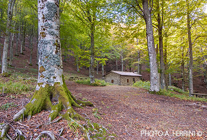 Rifugio Casetta di Buite