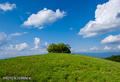 Poggio delle Portacce