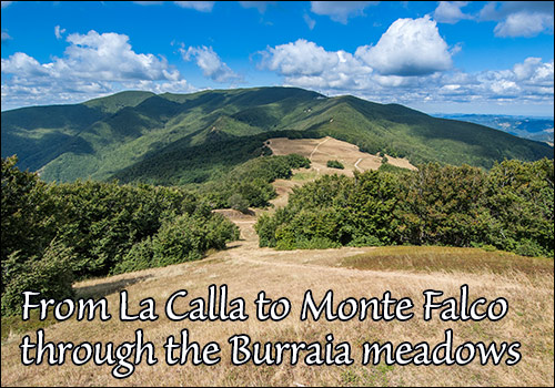 From Calla to Monte Falco