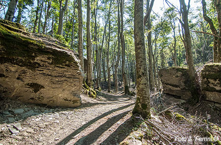 Crinale appenninico tosco romagnolo