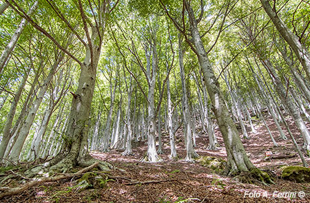 Riserva Naturale La Pietra