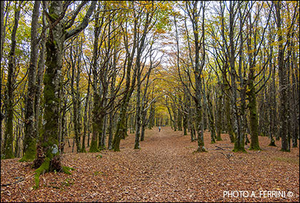 Giogana in autumn