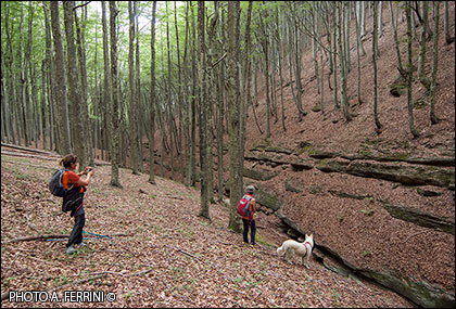 Pontene ditch