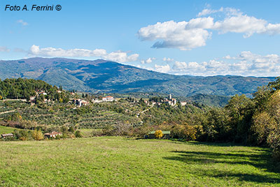 Comune di Capolona, paesaggio agricolo