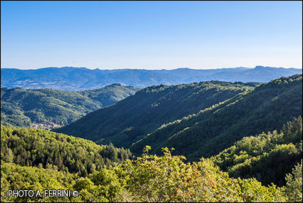 View of the Casentino