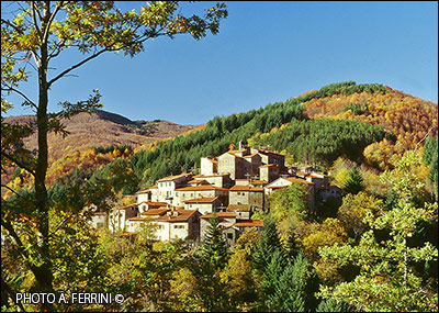 Panorama of Carda