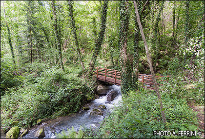 Walk to Ferruginous water