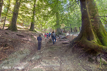 Eremo, Poggio Scali – La partenza del percorso