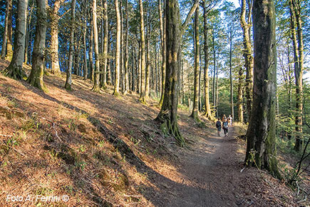 Eremo, Poggio Scali – La partenza del percorso
