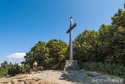 Monte Falterona