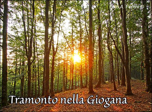 Tramonto sulla Giogana