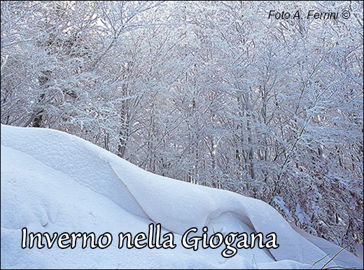 Galaverna sul crinale