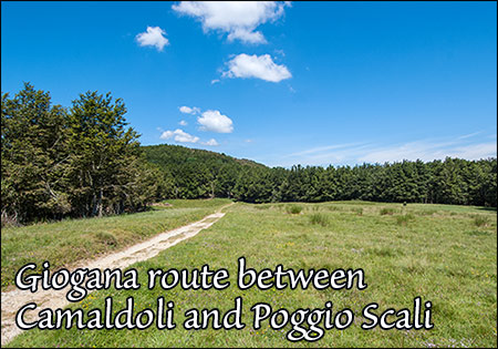 Giogana route south of Poggio Scali