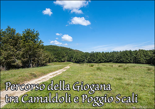 Percorso della Giogana a sud di Poggio Scali