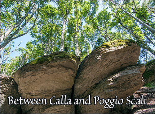 Shows of nature in the National Park