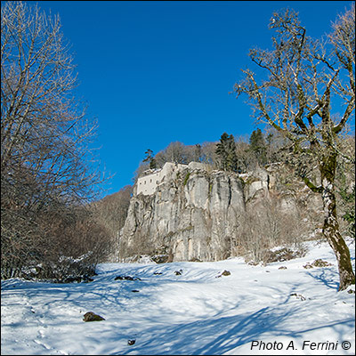 Winter landscape in La Verna