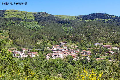 Moggiona, nel Parco Nazionale