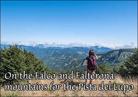 On the Falco and Falterona mountains