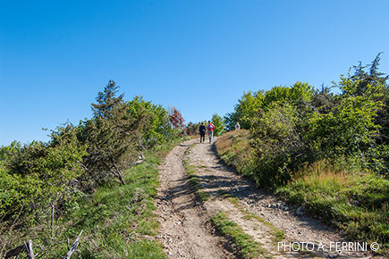 Cima di Monte Lori