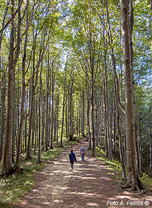 Il percorso per il Monte Penna