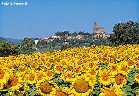 Paesaggio toscano in Casentino