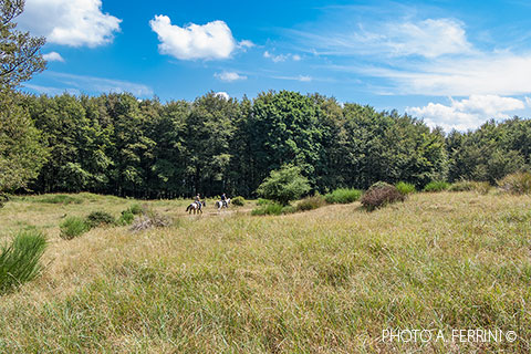 On horseback in the National Park