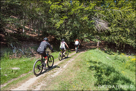 In mountain bike nel Parco Nazionale