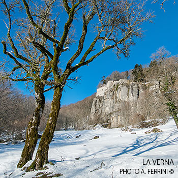 National Park, Monte La Verna
