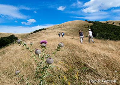 Passeggiate in Pratomagno