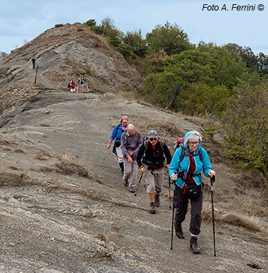 Pilgrims on Via Romea