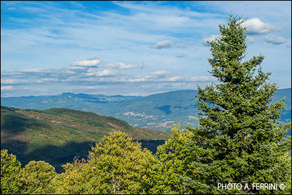 Panorama dal percorso CAI 46