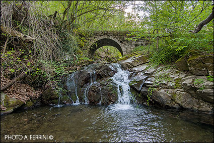 Ponte medievale lungo il CAI 48