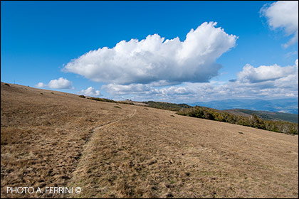 Pratomagno, i prati