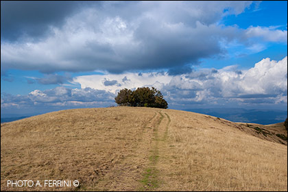 Pratomagno, Poggio delle Portacce