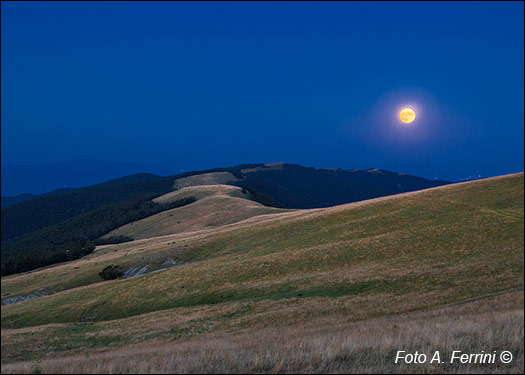 Pratomagno illuminated by the moon