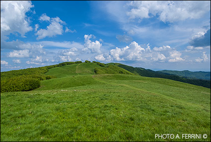 Prato Romito, crinale Pratomagno