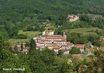 Panorama of Salutio