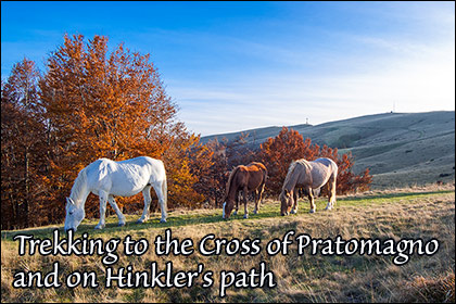 Trekking on the Hinkler's path