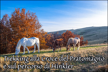 Trekking sul percorso di Hinkler