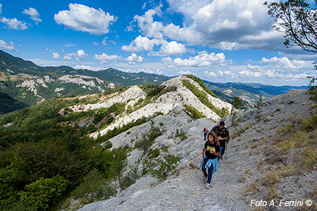 Via Romea Germanica, salita da Bagno di Romagna