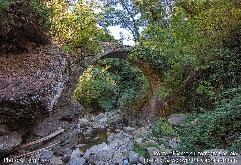 Ponte di Sasso in Capraia