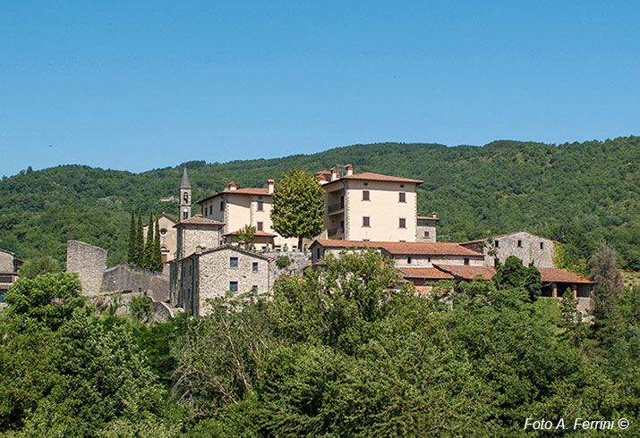 Castel Focognano