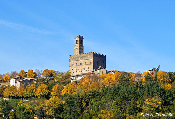 The Poppi Castle