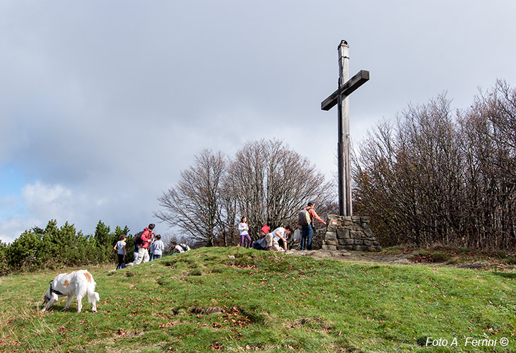 Monte Falterona