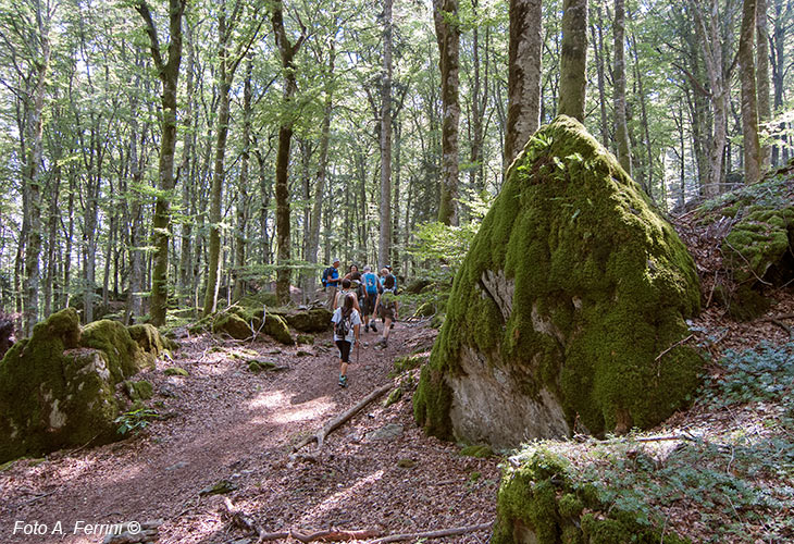 Passeggiate a La Verna Passeggiate a La Verna